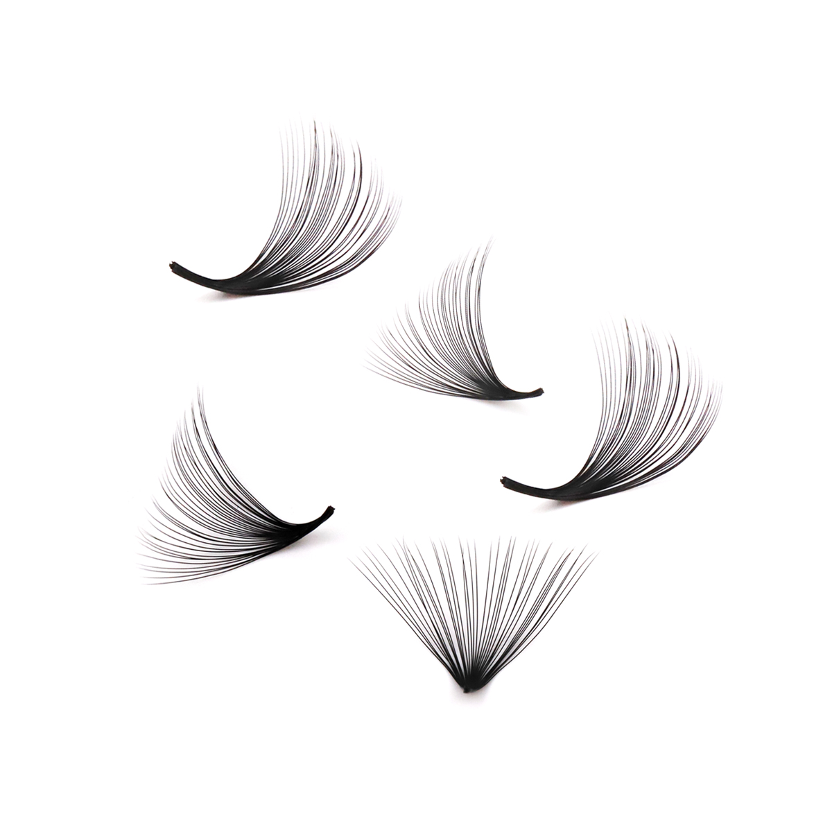 Extensions de cils à base poin - Eyelash Extension Medium avis et prix
