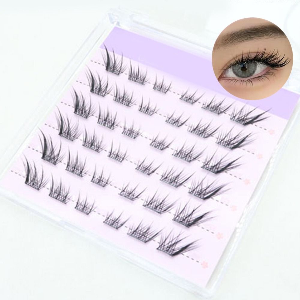 Nouveau 3D oeil de chat cils a - Eyelash Extension Cat Eye Wispy avis et prix