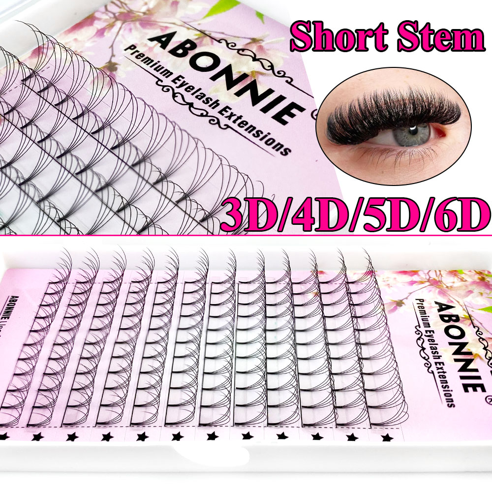 Abonnie 6D Éventails préfabriq - Eyelash Extension Human Hair avis et prix